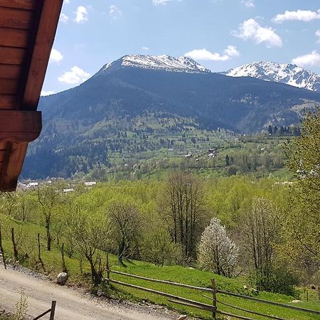 Transylvania House Borşa Eksteriør bilde
