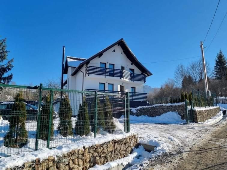 Transylvania House Borşa Eksteriør bilde
